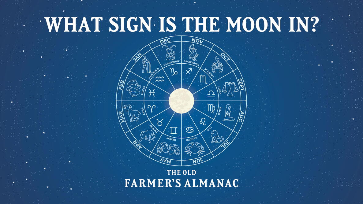 Calculate Your Moon Sign: A Step-by-Step Guide