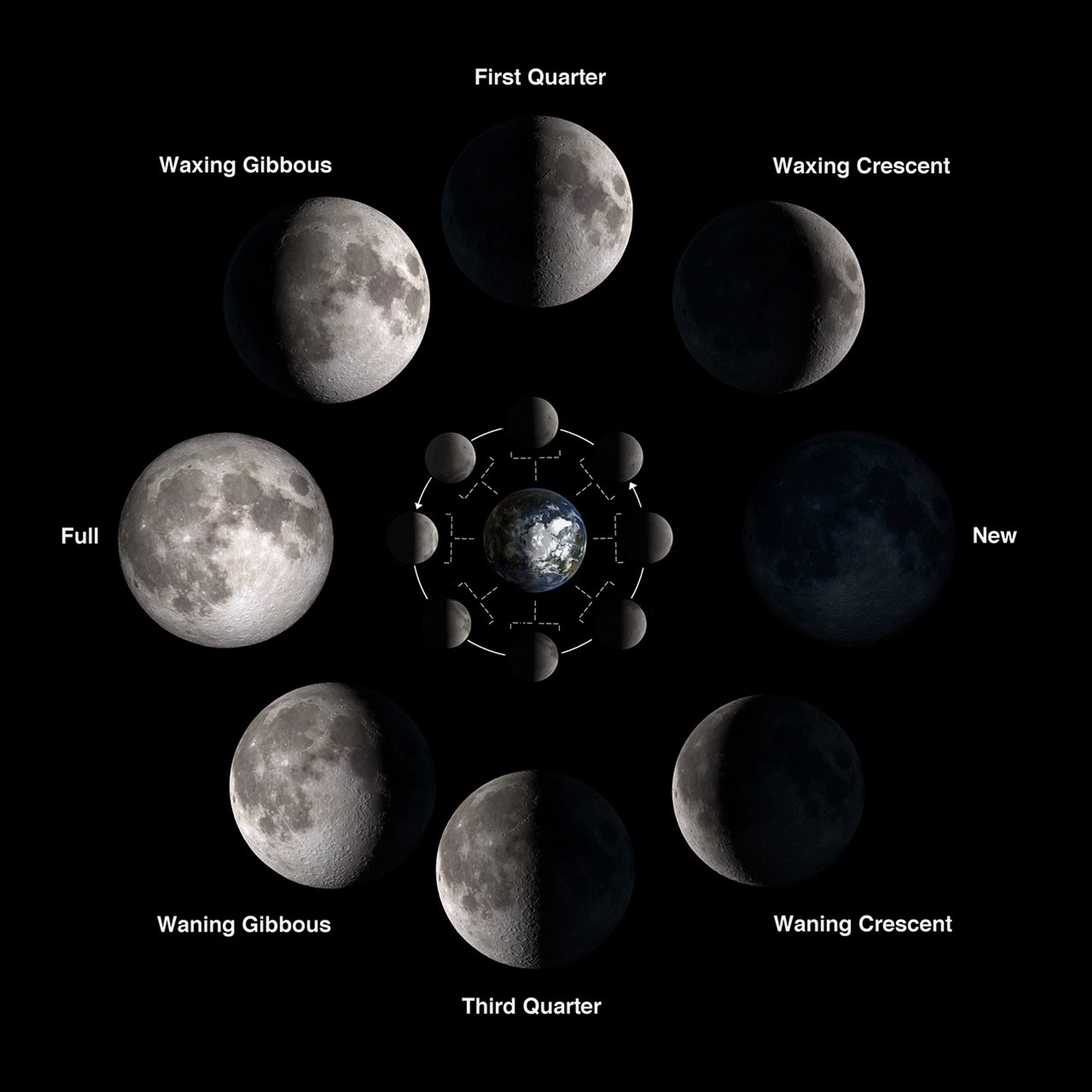 Lunar Phases