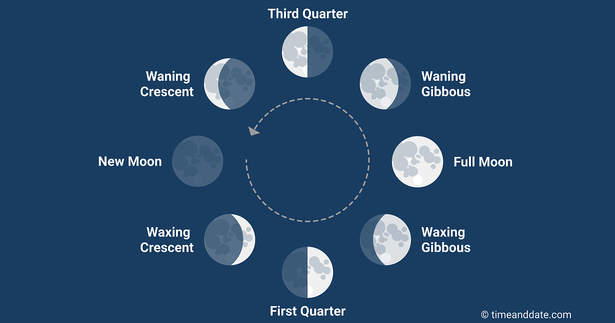 The Lunar Cycle Forecast