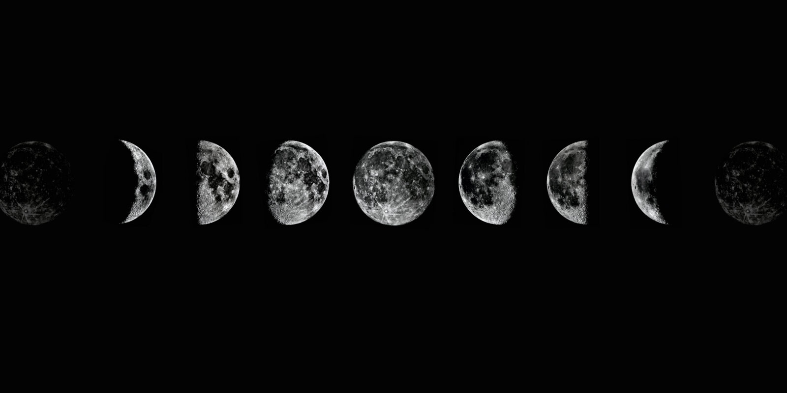 The Lunar Cycle Forecast
