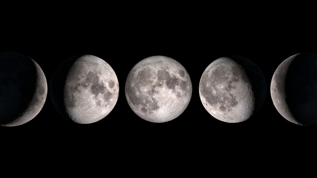 The Lunar Cycle Forecast