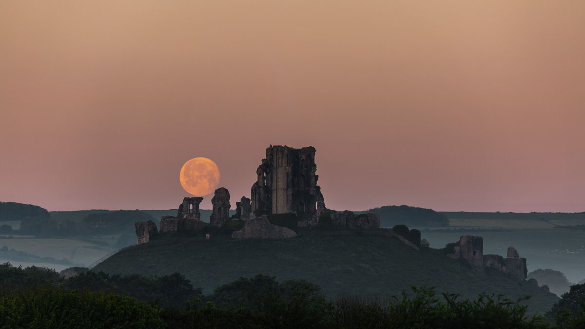 How to Find Your Moon Sign and Read Its Influence