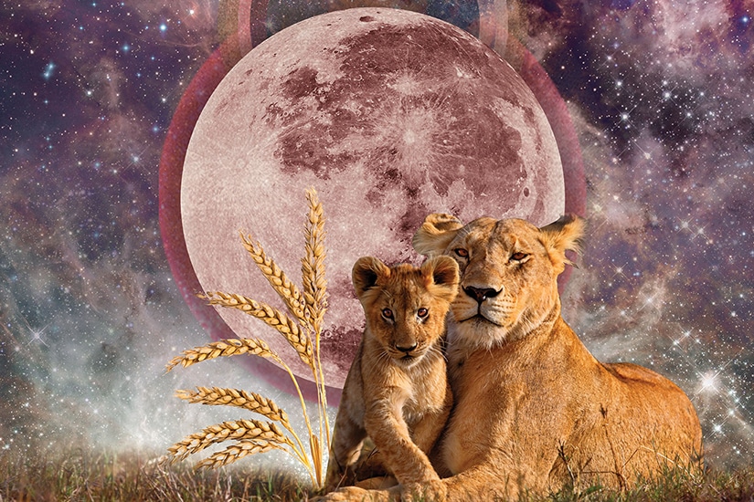 Why the Leo Full Moon Is Triggering Intense Lunar Emotions