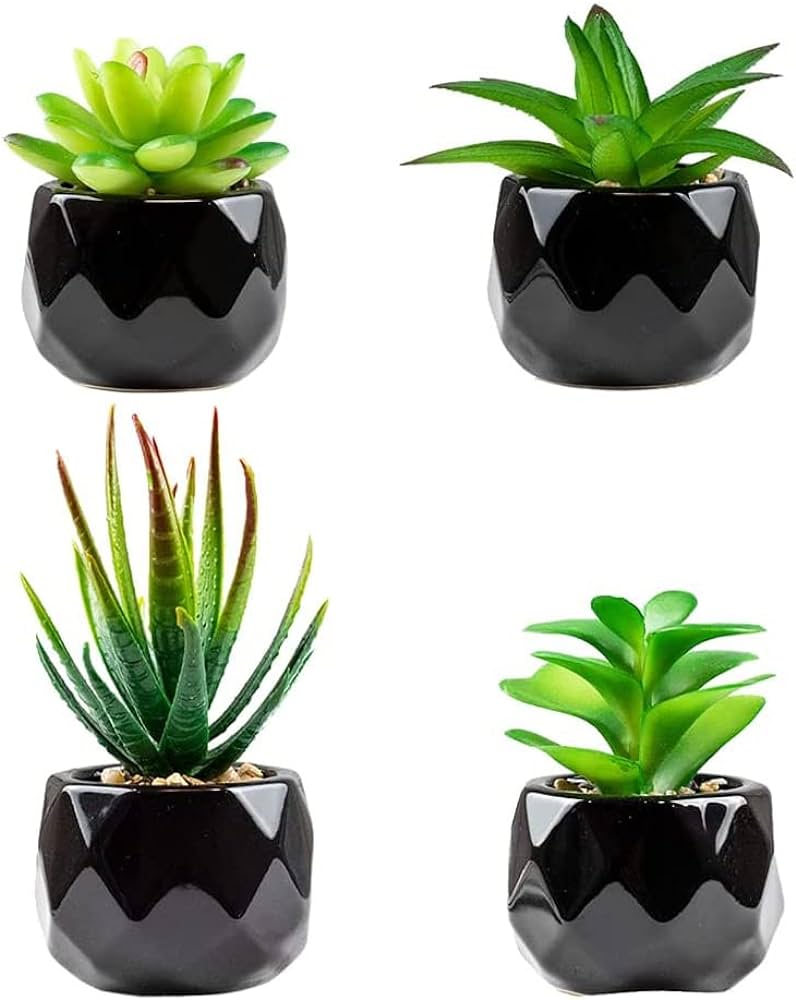 indoor desk plants
