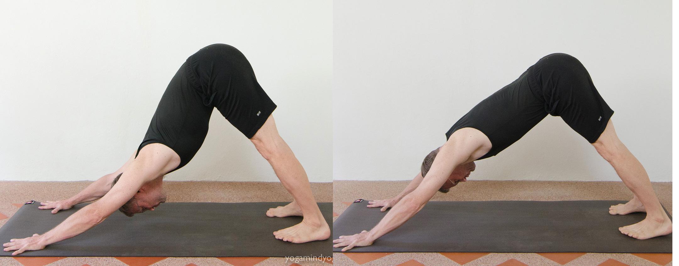 Seated Forward Bend Yoga