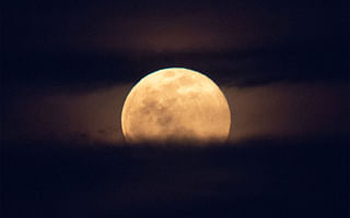 Harvest Moon Meaning in Astrology: Understanding and Embracing Autumn's Lunar Energy
