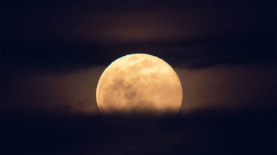 Harvest Moon Meaning in Astrology: Understanding and Embracing Autumn's Lunar Energy