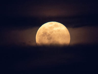 Harvest Moon Meaning in Astrology: Understanding and Embracing Autumn's Lunar Energy