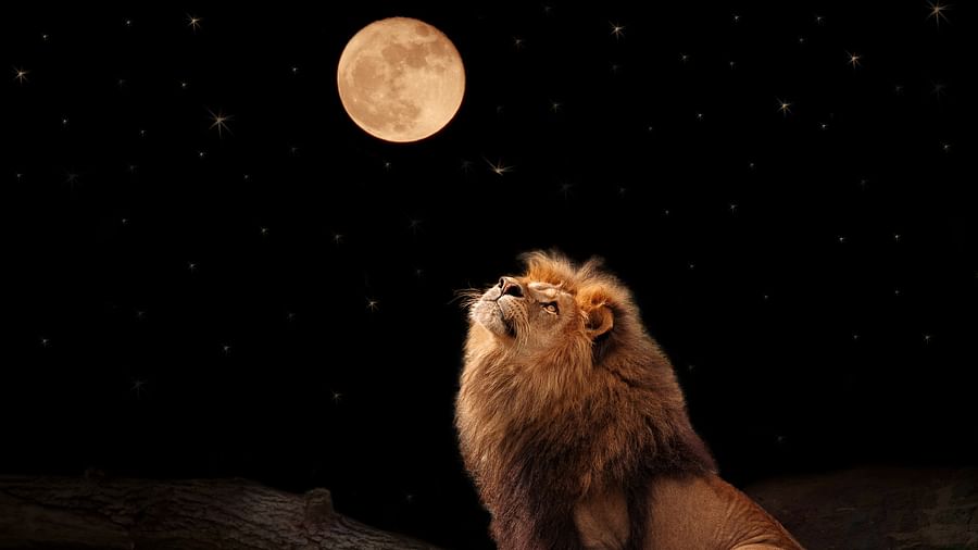 Lunar Leo in a loving relationship
