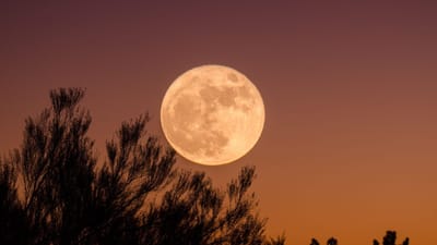 Revealing the Wonders of Moon Symbolism in Astrology: Secrets of Lunar Lore and Iconography