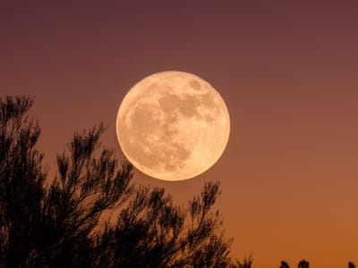 Revealing the Wonders of Moon Symbolism in Astrology: Secrets of Lunar Lore and Iconography