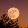 Revealing the Wonders of Moon Symbolism in Astrology: Secrets of Lunar Lore and Iconography