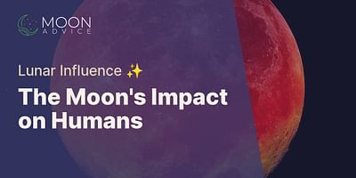 The Moon's Impact on Humans - Lunar Influence ✨