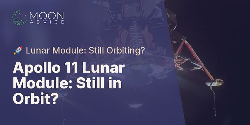 Apollo 11 Lunar Module: Still in Orbit? - 🚀 Lunar Module: Still Orbiting?