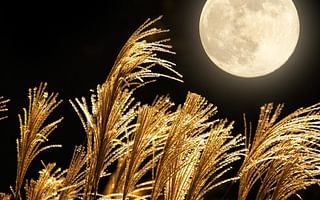 What is the influence of moon signs and phases on our lives?
